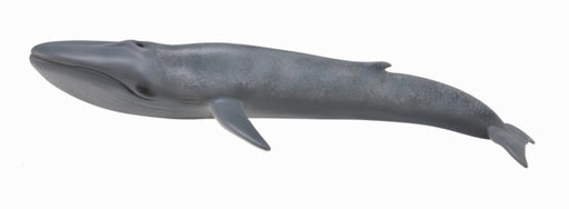 CollectA Blue Whale