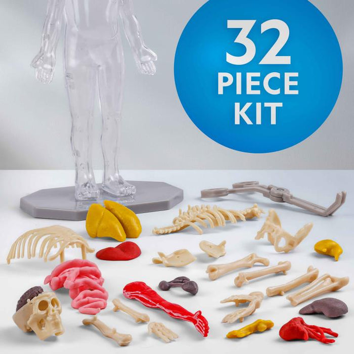 Human Body Science Kit