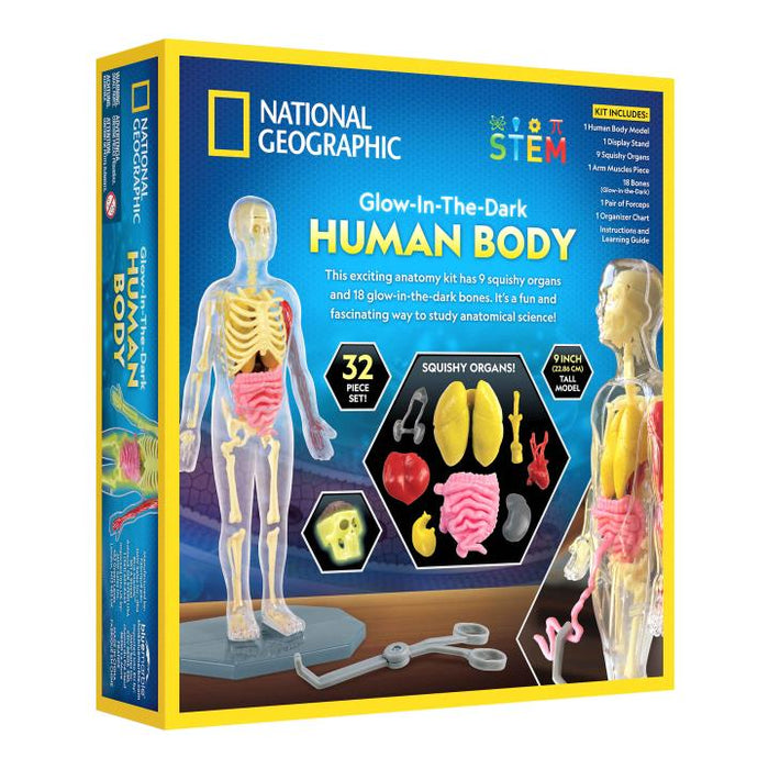 Human Body Science Kit