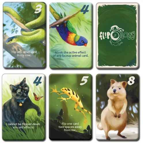 Flipology Card Game