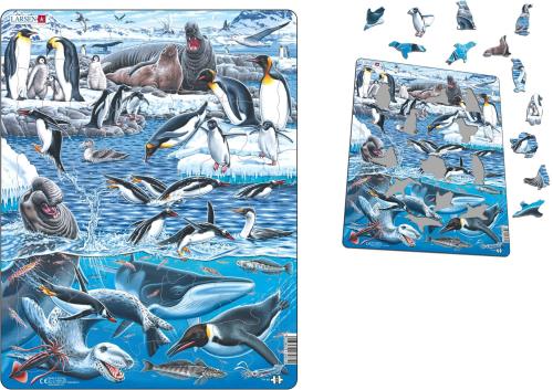 Antarctica Puzzle - Grandpas Toys Geraldine 