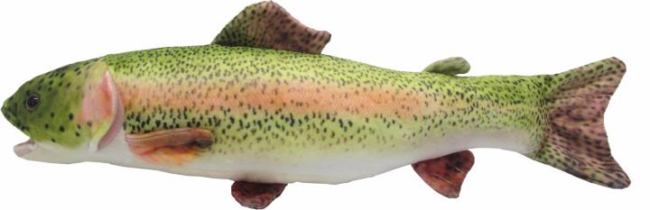Rainbow Trout Plush - Grandpas Toys Geraldine 