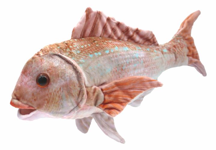 Snapper Plush - Grandpas Toys Geraldine 