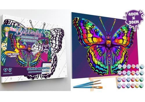 Butterfly Canvas Painting by Numbers