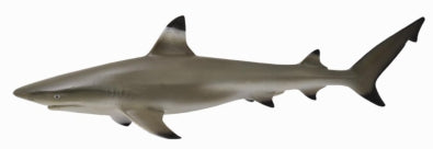 CollectA Black Reef Shark