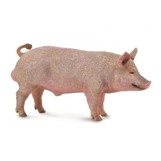 Boar Figurine - Grandpas Toys Geraldine 
