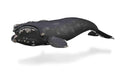 CollectA Right Whale