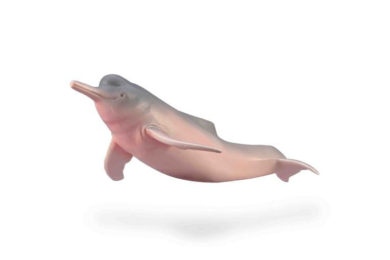 CollectA Amazone River Dolphin