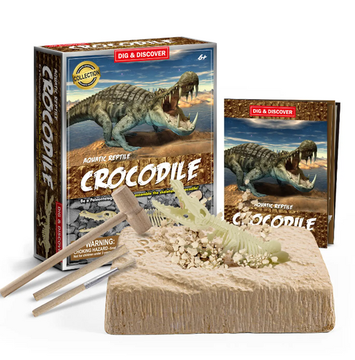 Dig & Discover Crocodile