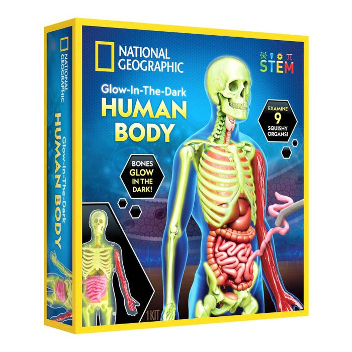 Human Body Science Kit - Grandpas Toys Geraldine