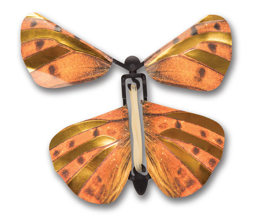 Wind Up Butterfly (Assortment)