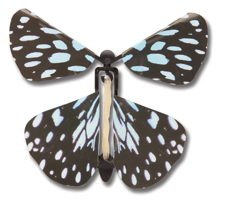 Wind Up Butterfly (Assortment)