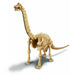 4M Dig a Dinosaur Skeleton Brachiosaurus_Grandpas Toys Geraldine