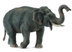 CollectA Asian Elephant_Grandpas Toys Geraldine