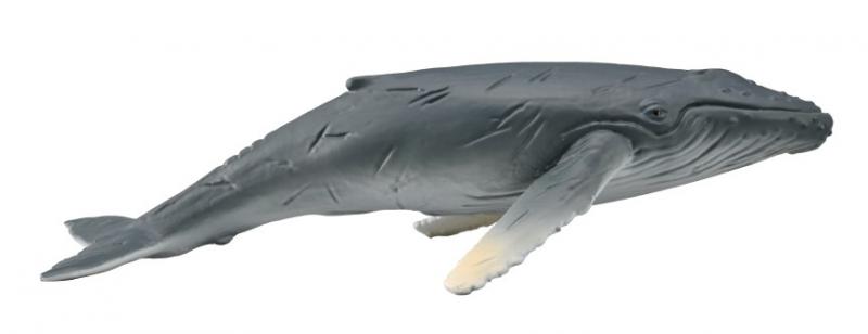 CollectA Humpback Whale Calf_Grandpas Toys Geraldine
