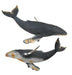 CollectA Humpback Whale_Grandpas Toys Geraldine