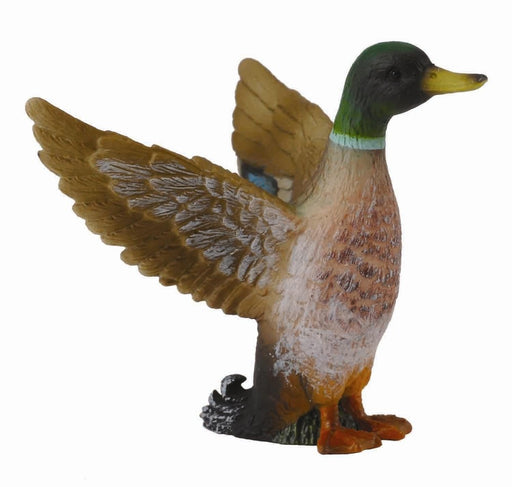 CollectA Mallard Duck - Male_Grandpas Toys Geraldine