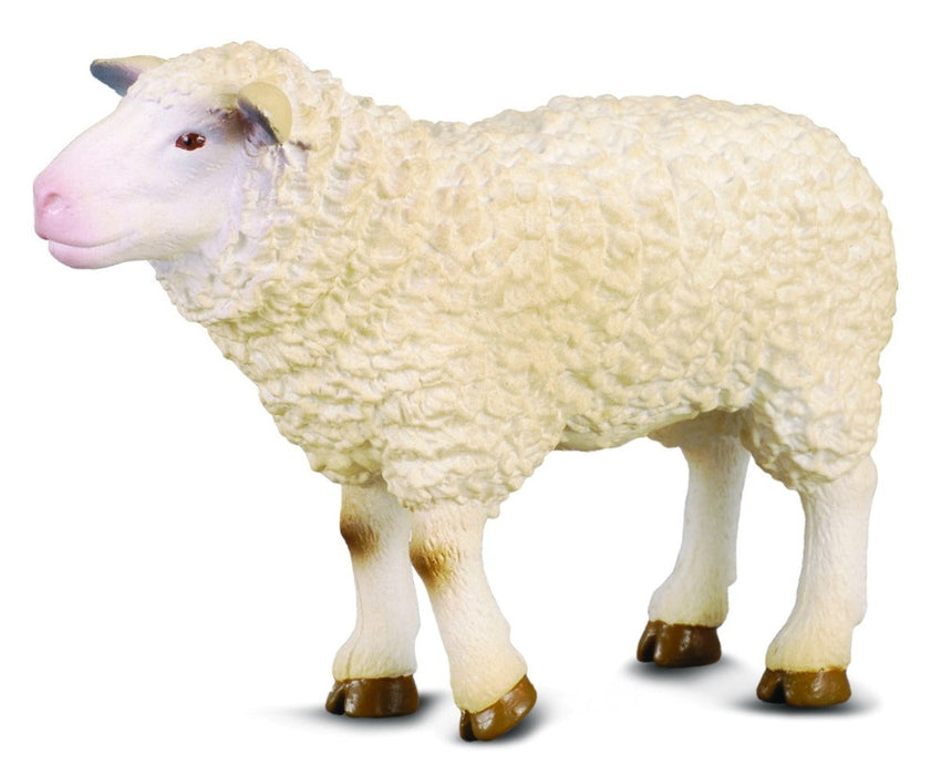 CollectA Sheep_Grandpas Toys Geraldine