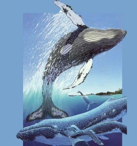 Humpback Whale Frame Puzzle - 30pc_Grandpas Toys Geraldine