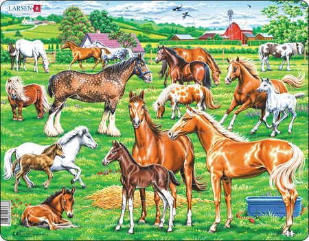 Beautiful Horses of Different Breeds Puzzle_Grandpas Toys Geraldine