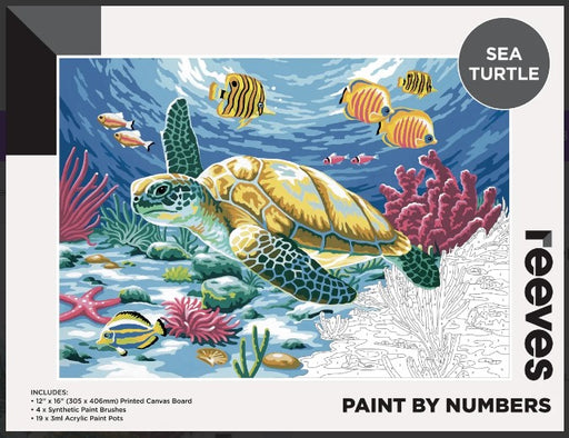 Reeves Paint By Numbers - Sea Turtle_Grandpas Toys Geraldine
